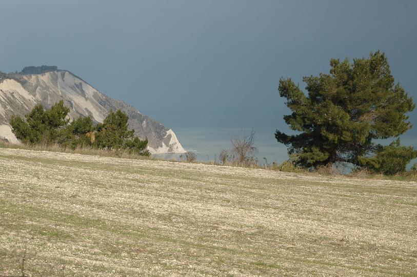 PECCATO PER LA FOSCHIA